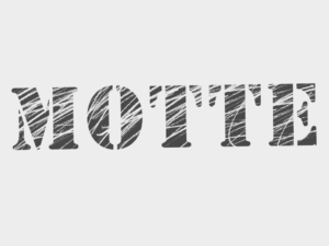 Die Motte unterstützt und bei der Aufnahme der Podcast, nicht nur mit den Räumlichkeiten sondern mit Ihrem ganzen Know-How